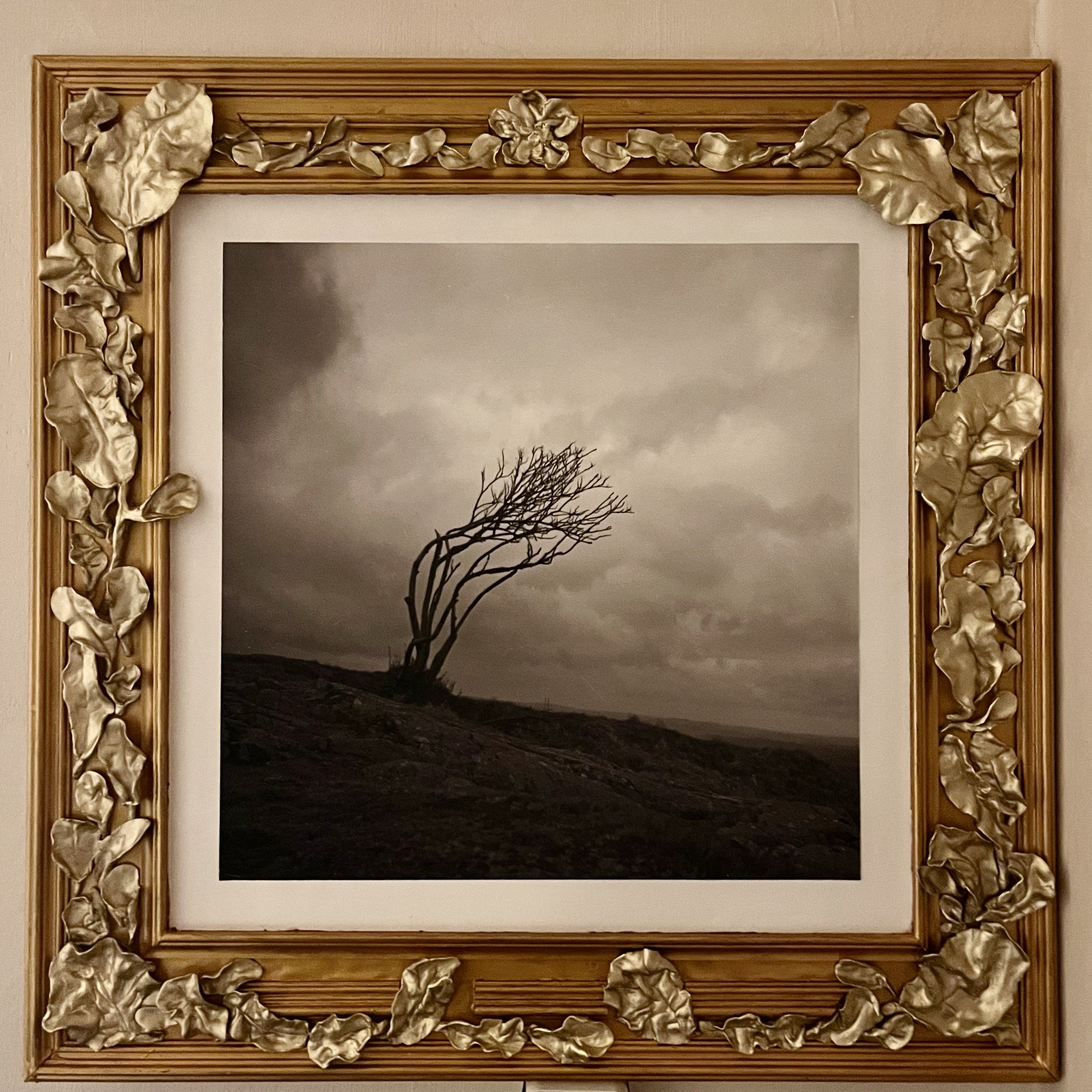 so I made a frame
