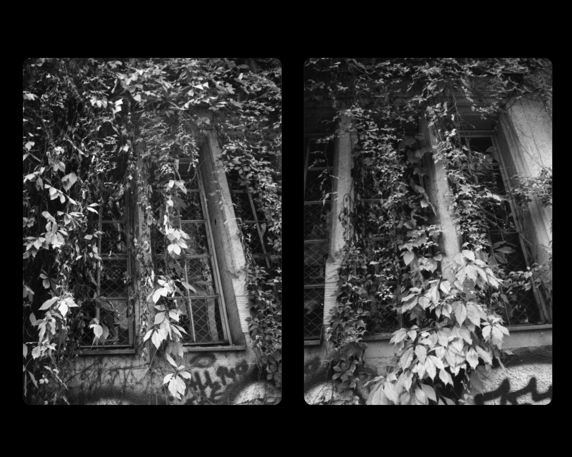 more half-frame things