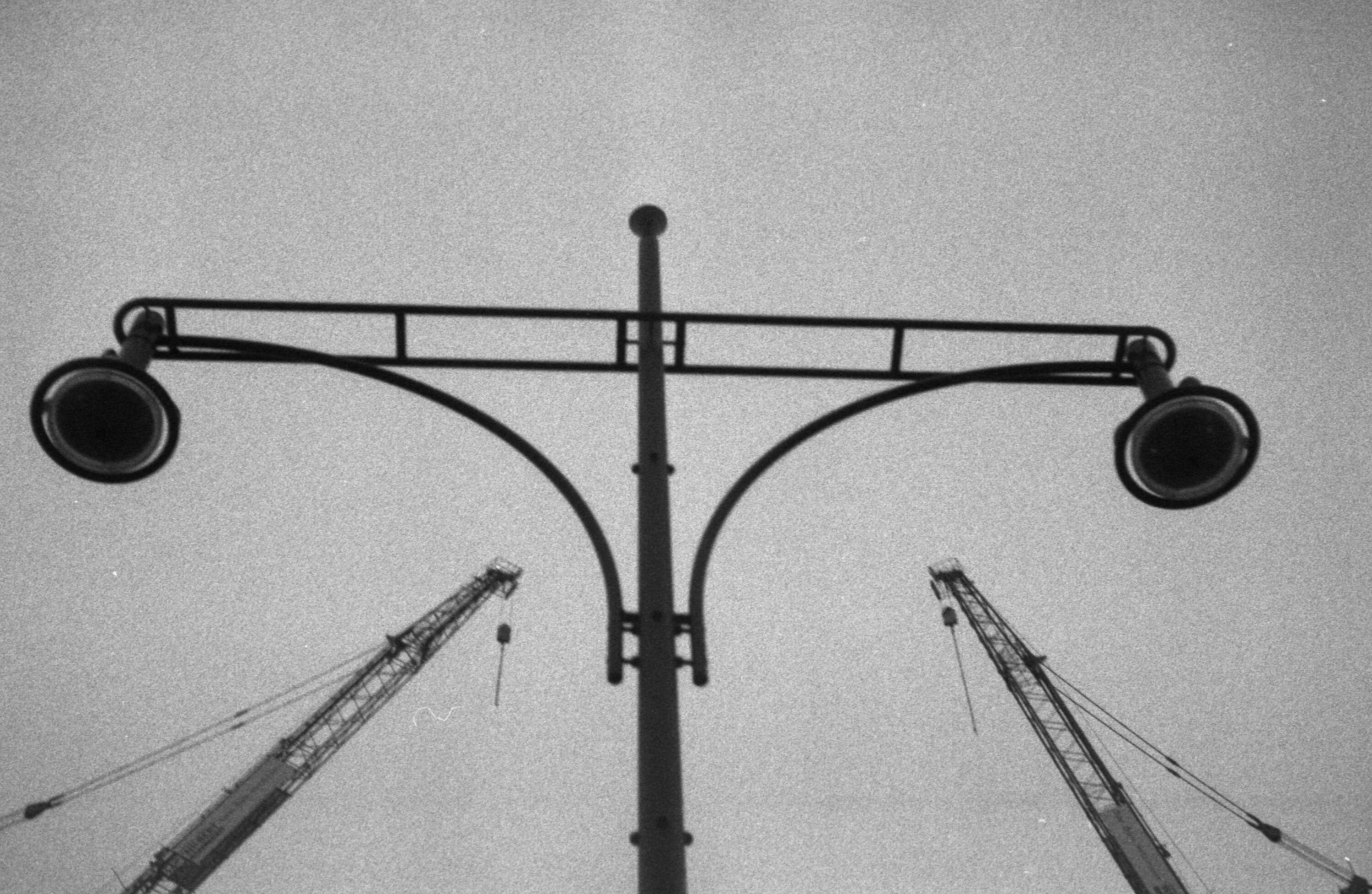 pictures of cranes